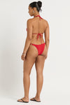 Lotus Brief